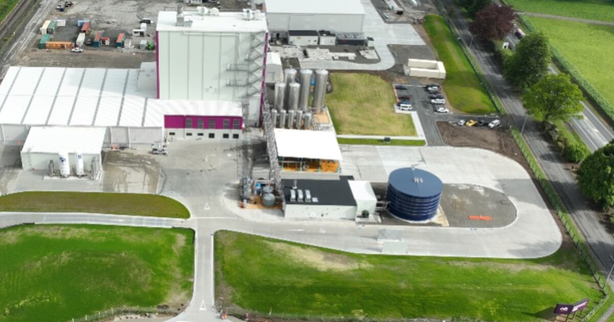 Olam Tokoroa - Workshop